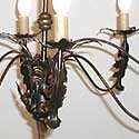 acanthus chandelier